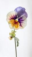 un' bellissimo morbido colore viola del pensiero fiore disegno verticale modello o carta. generativo ai. foto