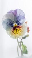 un' bellissimo morbido colore viola del pensiero fiore disegno verticale modello o carta. generativo ai. foto