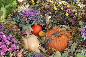 zucche e autunno verdure su un' giusto. raccogliere tempo su un' azienda agricola. autunno Festival di fresco biologico verdure. festivo arredamento nel giardino. agricoltura mercato. rurale scena. vegetariano e vegano cibo giorno. foto