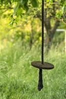 oscillare da un disco di legno è appeso a una corda in un giardino incolto