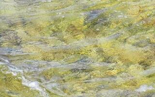 pietre rocce coralli turchese verde blu acqua su spiaggia Messico. foto