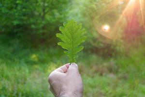 mano che tiene la foglia verde sentendo la natura foto