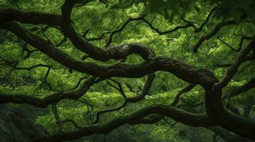 terra giorno e mondo ambiente giorno, molla, tropicale albero le foglie e ramo con bellissimo verde foresta sfondo, creare ai foto