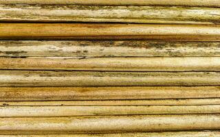 bambù legna parete e cancello struttura nel puerto escondido Messico. foto