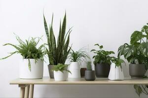 verde piante d'appartamento nel pentole e irrigazione può su di legno tavolo vicino bianca parete , creare ai foto