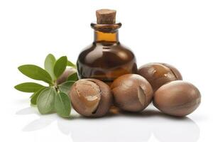 argan semi isolato su un' bianca bandiera sfondo. argan olio noccioline con pianta. cosmetici e naturale oli sfondo, creare ai foto