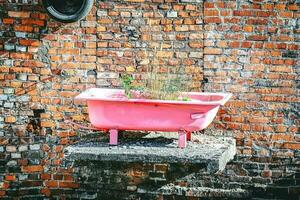 rosa bagno vasca in piedi su vecchio balcone con in crescita pianta dentro su rosso mattone parete sfondo foto