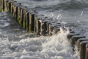 onde lambivano i tronchi sulla costa baltica nella sabbia foto