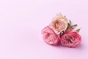 tre delicate rose su un bellissimo sfondo rosa con spazio per il testo foto