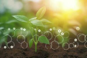 agricolo tecnologie per in crescita impianti e scientifico ricerca nel il campo di biologia e chimica di natura. vivente verde germoglio nel il mani di un' contadino, creare ai foto