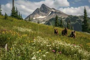 un' famiglia di orsi giocando nel un' campo di fiori selvatici con un' montagna gamma nel il sfondo, creare ai foto