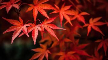 autunno rosso le foglie sfondo. illustrazione ai generativo foto