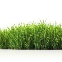 verde erba campo isolato su bianca sfondo, creare ai foto