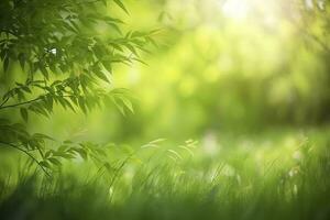 naturale verde sfocato primavera estate sfocato sfondo con luce del sole. succoso giovane erba e fogliame su natura nel raggi di luce del sole, panoramico inquadratura, copia spazio foto