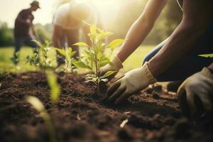 persone piantare alberi o Lavorando nel Comunità giardino promozione Locale cibo produzione e habitat restauro, concetto di sostenibilità e Comunità Fidanzamento , creare ai foto