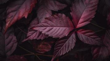 colorato di stagione autunno sfondo modello, vivace tappeto di caduto foresta foglie, creare ai foto