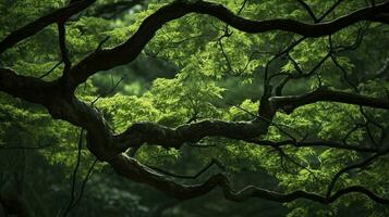 terra giorno e mondo ambiente giorno, molla, tropicale albero le foglie e ramo con bellissimo verde foresta sfondo, creare ai foto