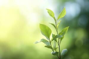 mondo ambiente giorno concetto, verde albero le foglie su sfocato sfondo, creare ai foto