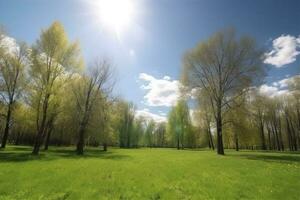 bellissimo sfocato sfondo Immagine di primavera natura con un' ordinatamente rifilato prato circondato di alberi contro un' blu cielo con nuvole su un' luminosa soleggiato giorno, creare ai foto