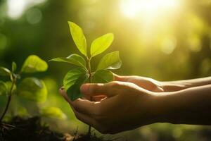 un' bambino Tenere un' pianta nel loro mani con un' verde sfondo e luce del sole splendente attraverso il le foglie su il pianta, creare ai foto