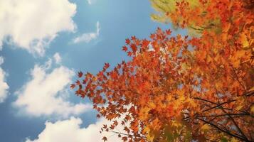 bellissimo autunno paesaggio insieme a. colorato fogliame nel il parco. caduta le foglie naturale sfondo, creare ai foto