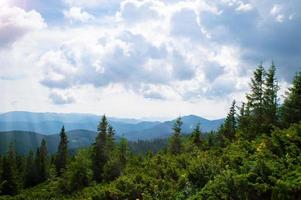 panorama delle montagne carpatiche di verdi colline in montagna estiva