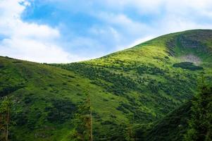 panorama delle montagne carpatiche di verdi colline in montagna estiva foto