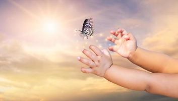 il bambino piccolo libera la farfalla foto