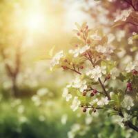 primavera fiorire sfondo. natura scena con fioritura albero e sole bagliore. primavera fiori. bellissimo frutteto , generat ai foto