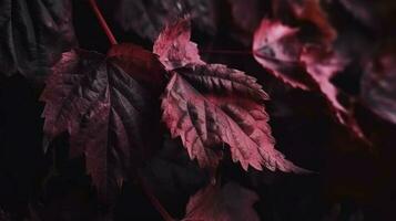 colorato di stagione autunno sfondo modello, vivace tappeto di caduto foresta foglie, creare ai foto