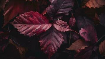 artistico colorato quercia autunno stagione le foglie sfondo, creare ai foto