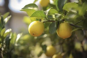 Limone albero giardino sfondo creato con generativo ai tecnologia foto