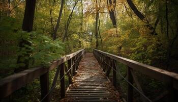 a piedi su passerella, circondato di autunno natura generato di ai foto