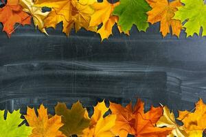 autunno sfondo con autunno le foglie. nero lavagna nel centro con copia spazio per il tuo testo. accogliente autunno ancora vita. indietro per scuola concetto. foto