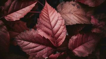 artistico colorato quercia autunno stagione le foglie sfondo, creare ai foto