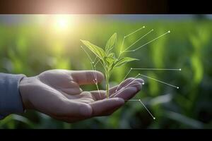 agricolo tecnologie per in crescita impianti e scientifico ricerca nel il campo di biologia e chimica di natura. vivente verde germoglio nel il mani di un' contadino, creare ai foto