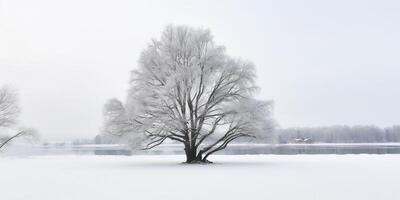 inverno paesaggio con nevoso sentiero ai generato foto