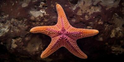 stella marina nel il mare ai generato foto
