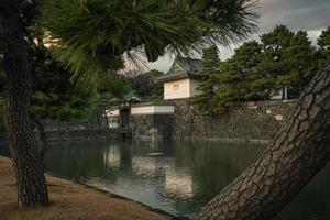 castello di edo a tokyo, giappone in inverno foto