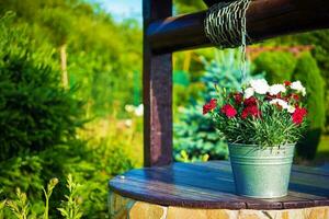 fiori secchio su un' bene foto