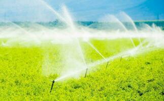 azienda agricola campo irrigazione foto