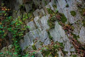 Cava di riolite sul monte cinto, a cinto euganeo, padova, italia