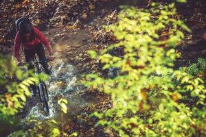 natura selvaggia bicicletta cavalcata foto