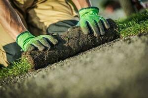 prato erba installazione di caucasico giardiniere foto