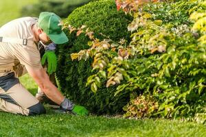 giardino Salute dai un'occhiata foto