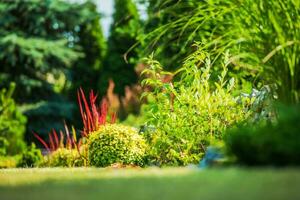 giardino impianti avvicinamento foto