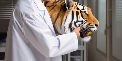 tigre indossare un' laboratorio cappotto ai generato foto