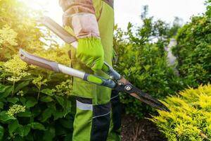 professionista giardiniere con grande forbici nel il suo mani foto