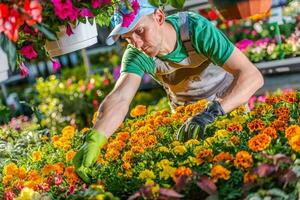 vendita all'ingrosso fioraio lavoro foto