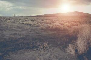 Arizona crudo deserto paesaggio foto